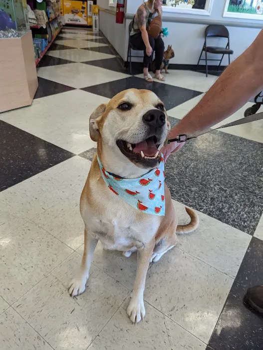 Vetco Vaccination Clinic 12