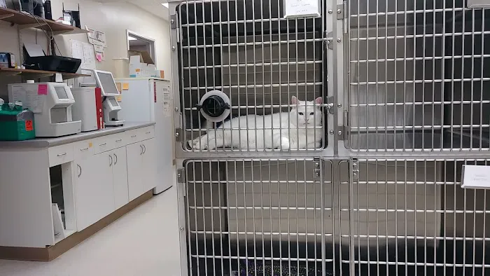 Spring Hill Veterinary Clinic 5