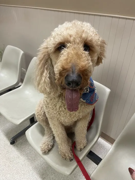 Spring Hill Veterinary Clinic 9