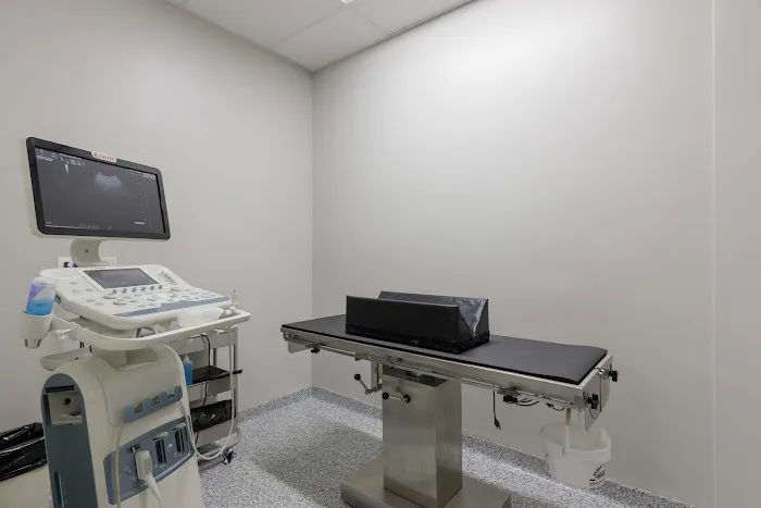 Spring Hill Veterinary Clinic: Redeker-Goelit Erin DVM 12