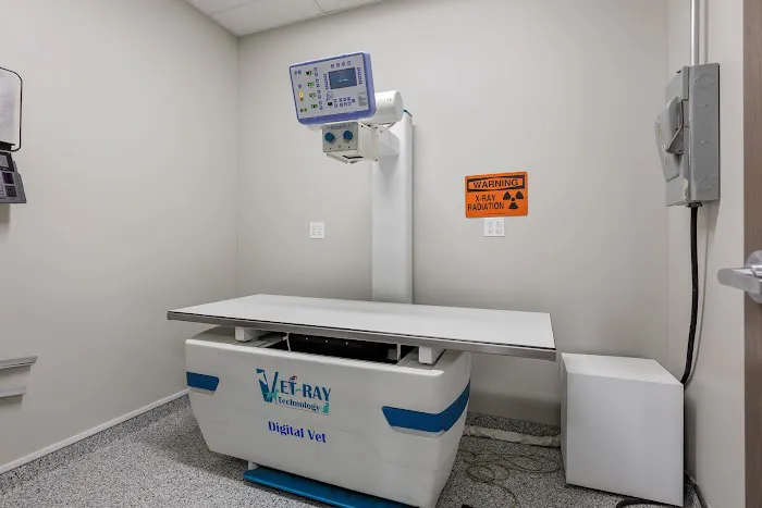 Spring Hill Veterinary Clinic: Redeker-Goelit Erin DVM 12