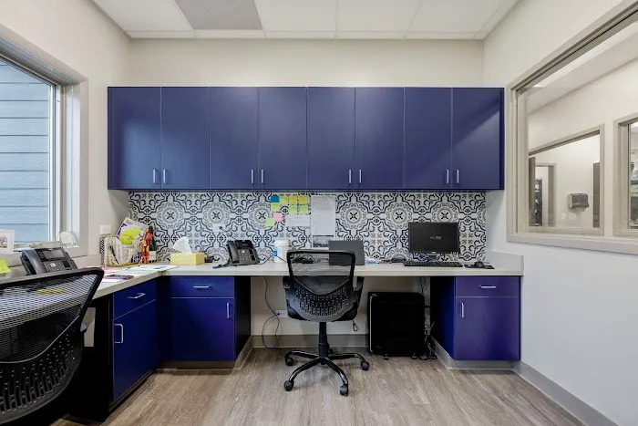 Spring Hill Veterinary Clinic: Redeker-Goelit Erin DVM 12