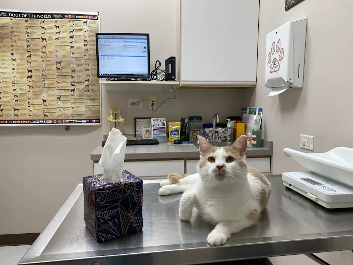 Randall Oaks Animal Hospital 1