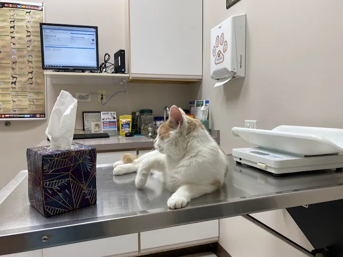 Randall Oaks Animal Hospital 4