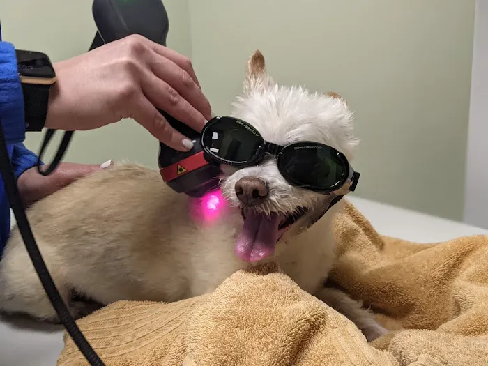 Cobb & Co Veterinary Clinic 2