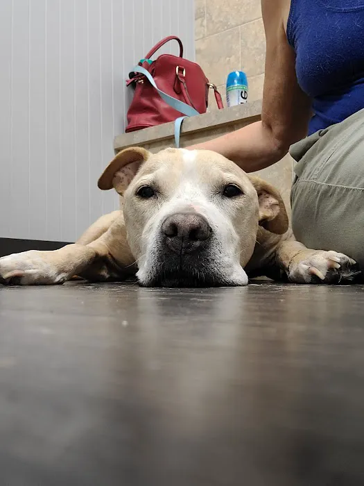 Cobb & Co Veterinary Clinic 10