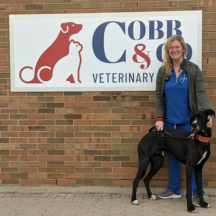 Cobb & Co Veterinary Clinic 4