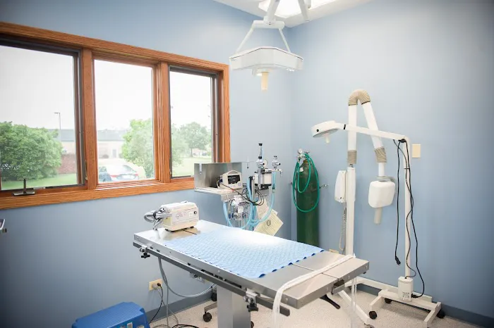 All Paws Veterinary Clinic 3