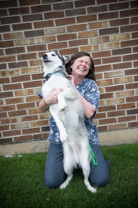 All Paws Veterinary Clinic 5