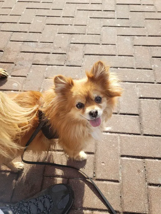Family Pet Care Clinic 2