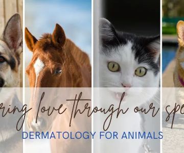 Dermatology for Animals - Hoffman Estates