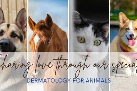Dermatology for Animals - Hoffman Estates