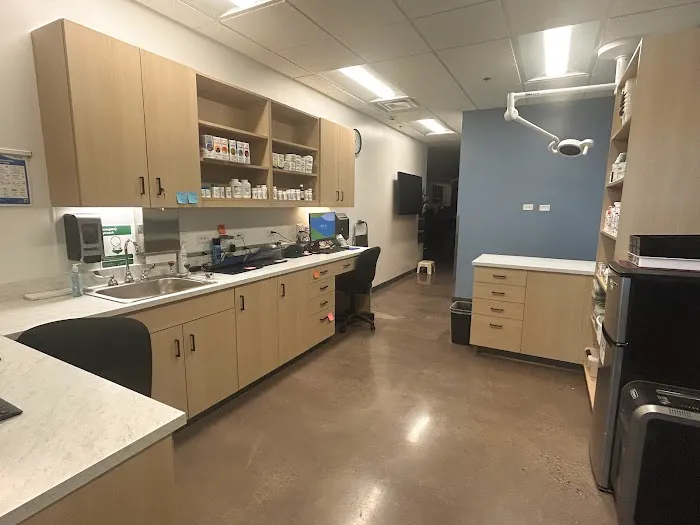 Dermatology for Animals - Hoffman Estates 2