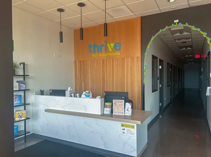 Dermatology for Animals - Hoffman Estates 3