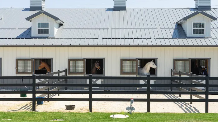 Iverson Equine Practice 12