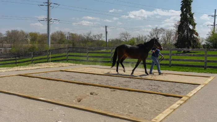 Iverson Equine Practice 12