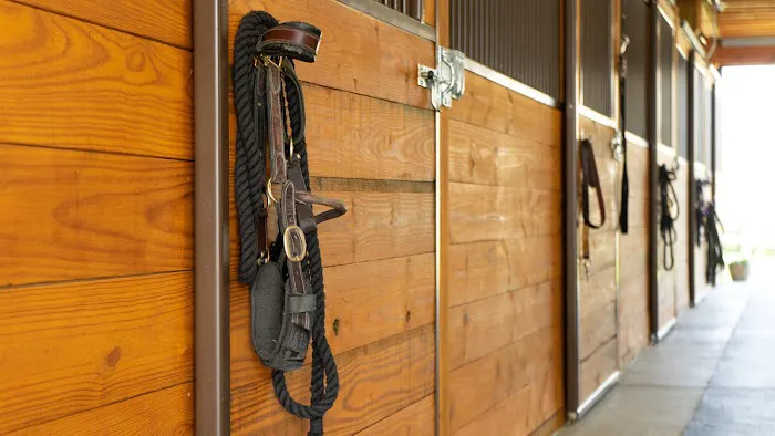 Iverson Equine Practice 12