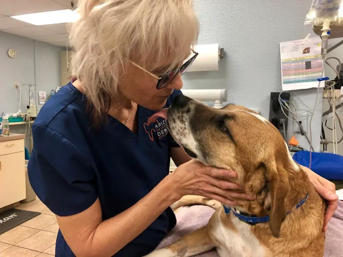 Arizona Veterinary Dental Specialists - Peoria 2