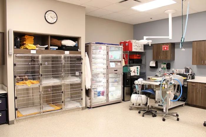 Arizona Veterinary Dental Specialists - Peoria 5