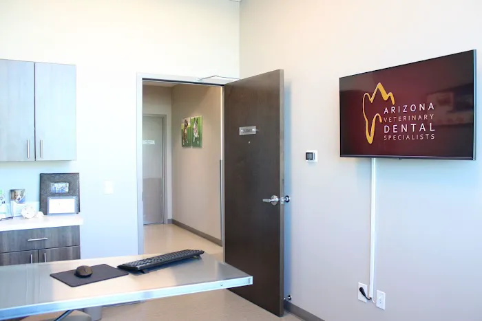 Arizona Veterinary Dental Specialists - Peoria 3