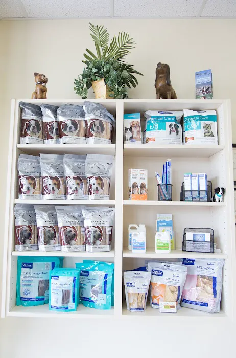 Arizona Veterinary Dental Specialists - Peoria 7