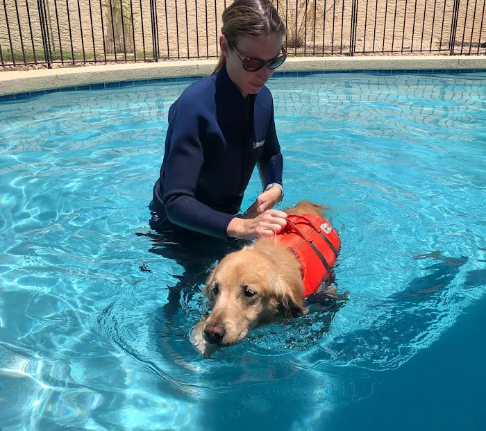 Arizona Veterinary Physical Rehabilitation 10