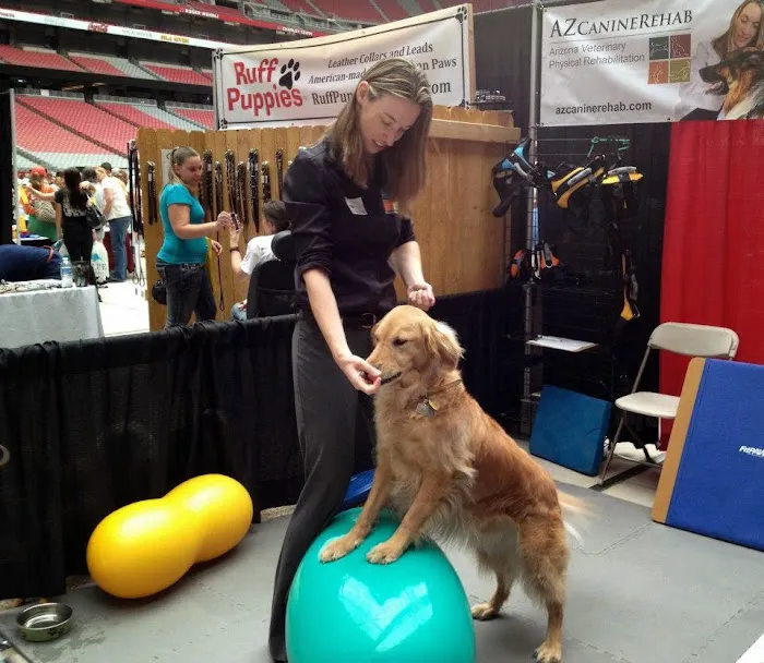 Arizona Veterinary Physical Rehabilitation 8