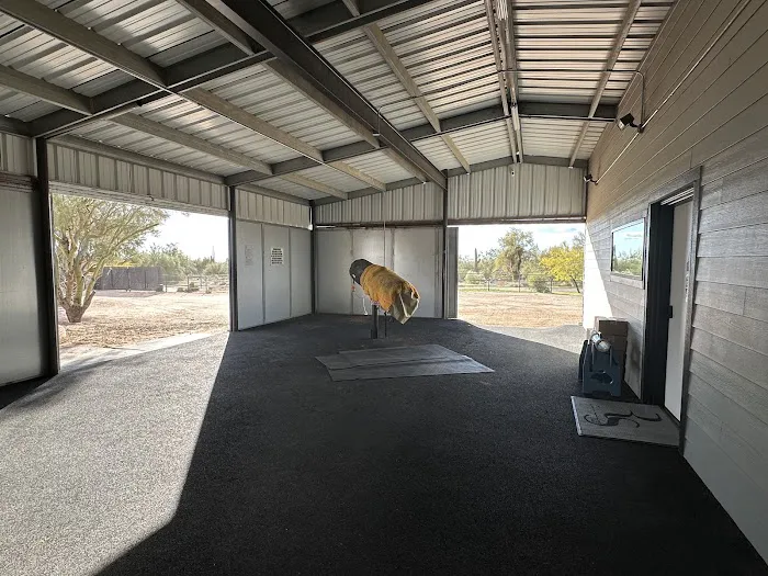 RS Equine Reproduction 1