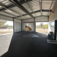 RS Equine Reproduction ico