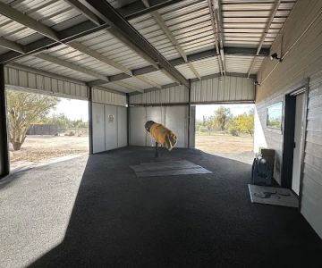 RS Equine Reproduction
