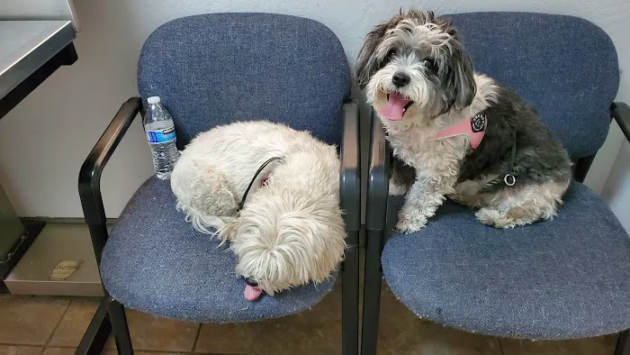 Sun City West Animal Hospital 6