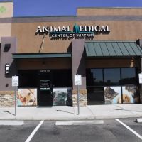 Animal Medical Center of Surprise ico