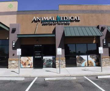 Animal Medical Center of Surprise
