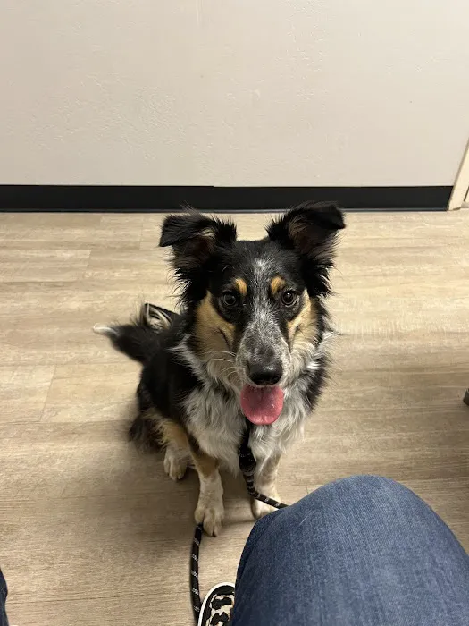 Purrfurred Pets Veterinary Clinic 6