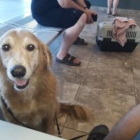 Purrfurred Pets Veterinary Clinic ico