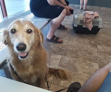 Purrfurred Pets Veterinary Clinic