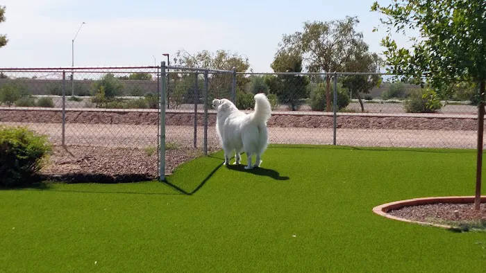 Eye Care for Animals - Avondale 3