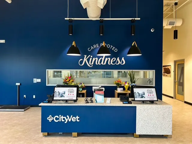 CityVet | Goodyear 1