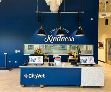 CityVet | Goodyear