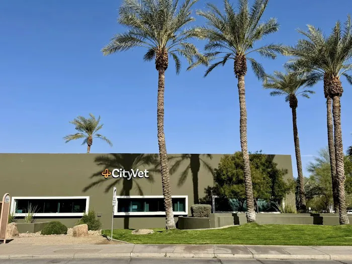 CityVet | Goodyear 3