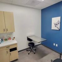 Dermatology for Animals Goodyear ico