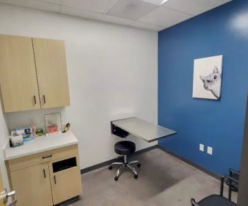 Dermatology for Animals Goodyear