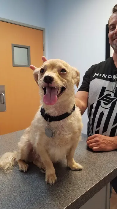 Palm Valley Animal Clinic 2