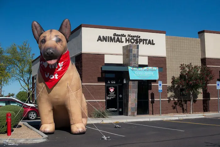 Gentle Hearts Animal Hospital 4