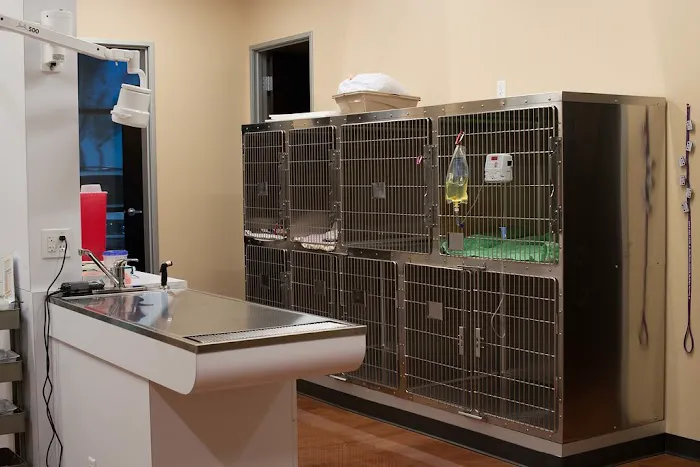 Gentle Hearts Animal Hospital 1