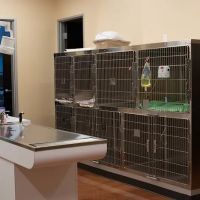 Gentle Hearts Animal Hospital ico