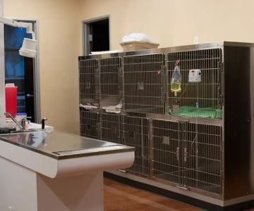 Gentle Hearts Animal Hospital
