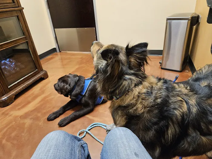 Gentle Hearts Animal Hospital 6