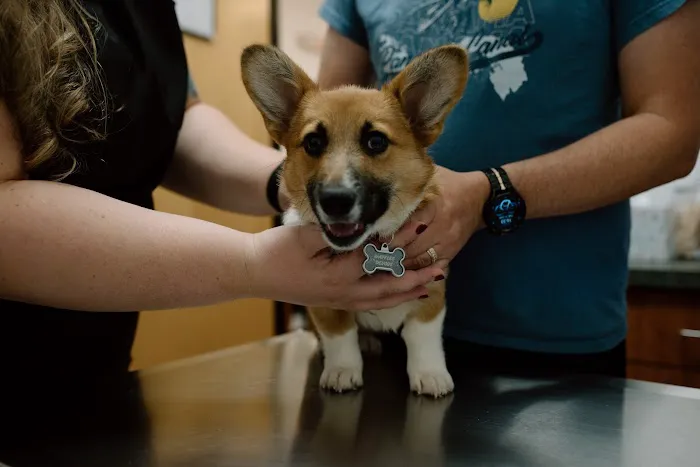 The Complete Pet Animal Hospital 2