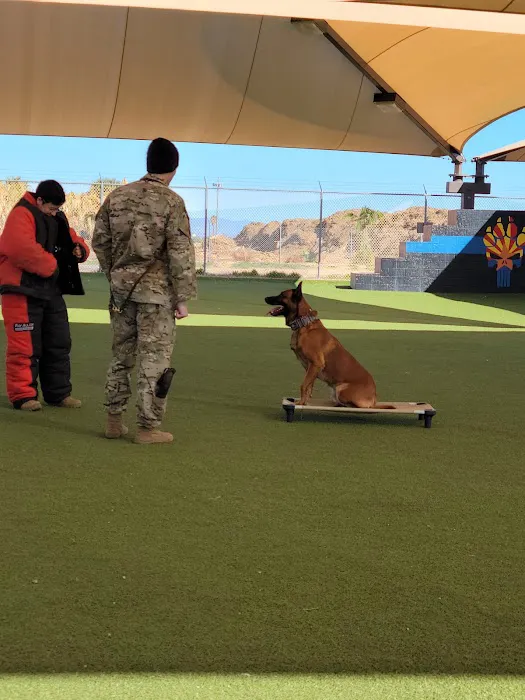 Luke Air Force Base Veterinary Service 4